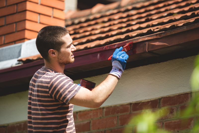 Shed Painting Service in Longmont, CO