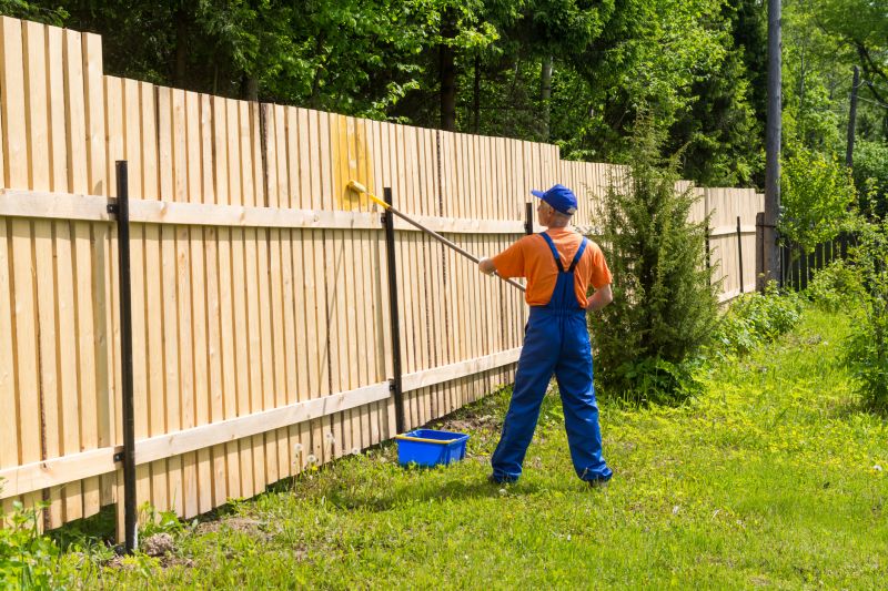 Wire Fence Painting in Waco, TX